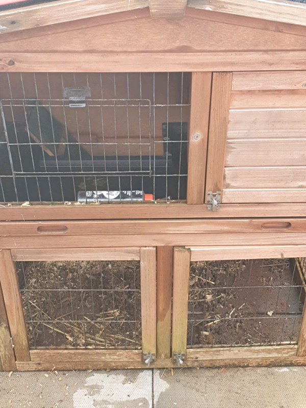 bunny hutch gumtree